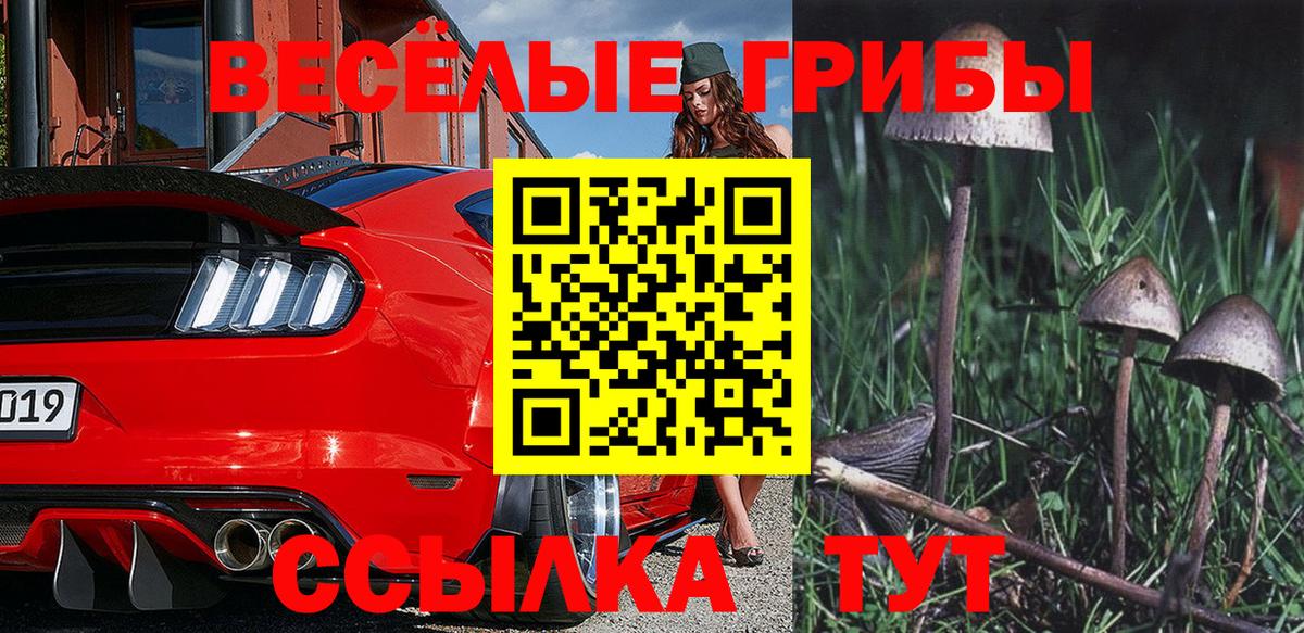 Галлюциногенные грибы Cubensis Воткинск