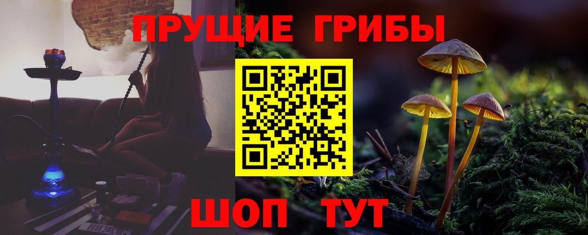 Галлюциногенные грибы Magic Shrooms  Галлюциногенные грибы Magic Shrooms  Воткинск  Вход с VPN 
